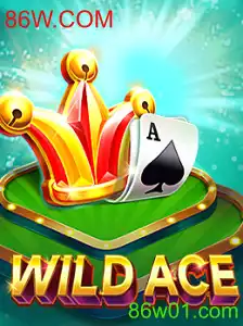 Explorando o Universo do Jogo WildAce: Uma Aventura Empolgante